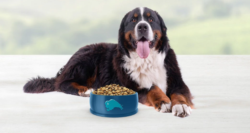 Blue Buffalo Dog Food