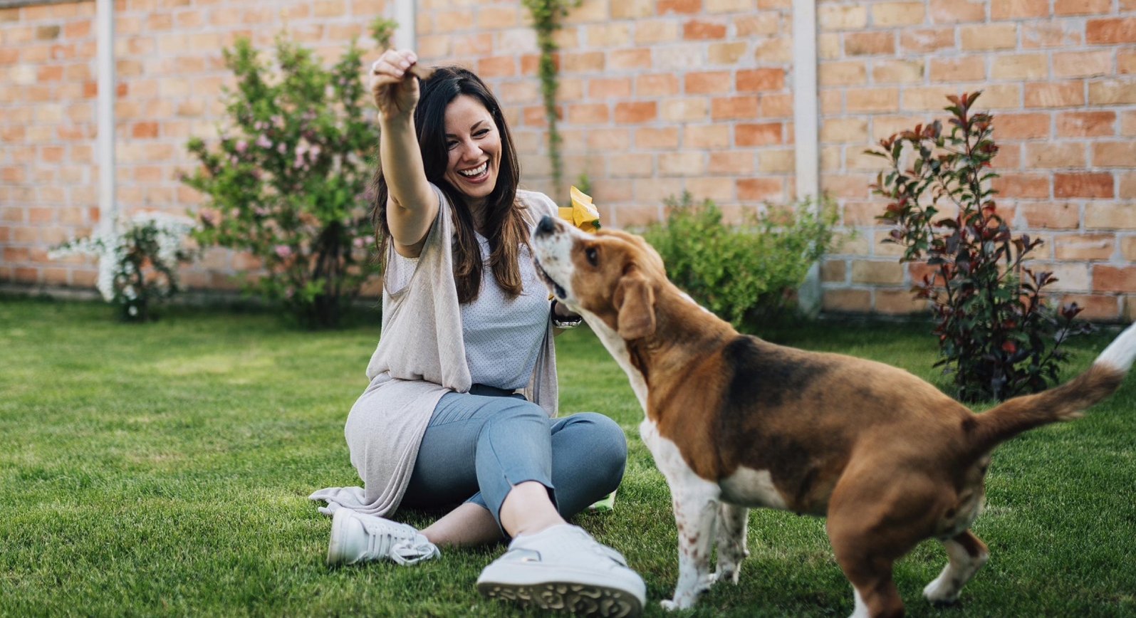 Fetch Pet Insurance