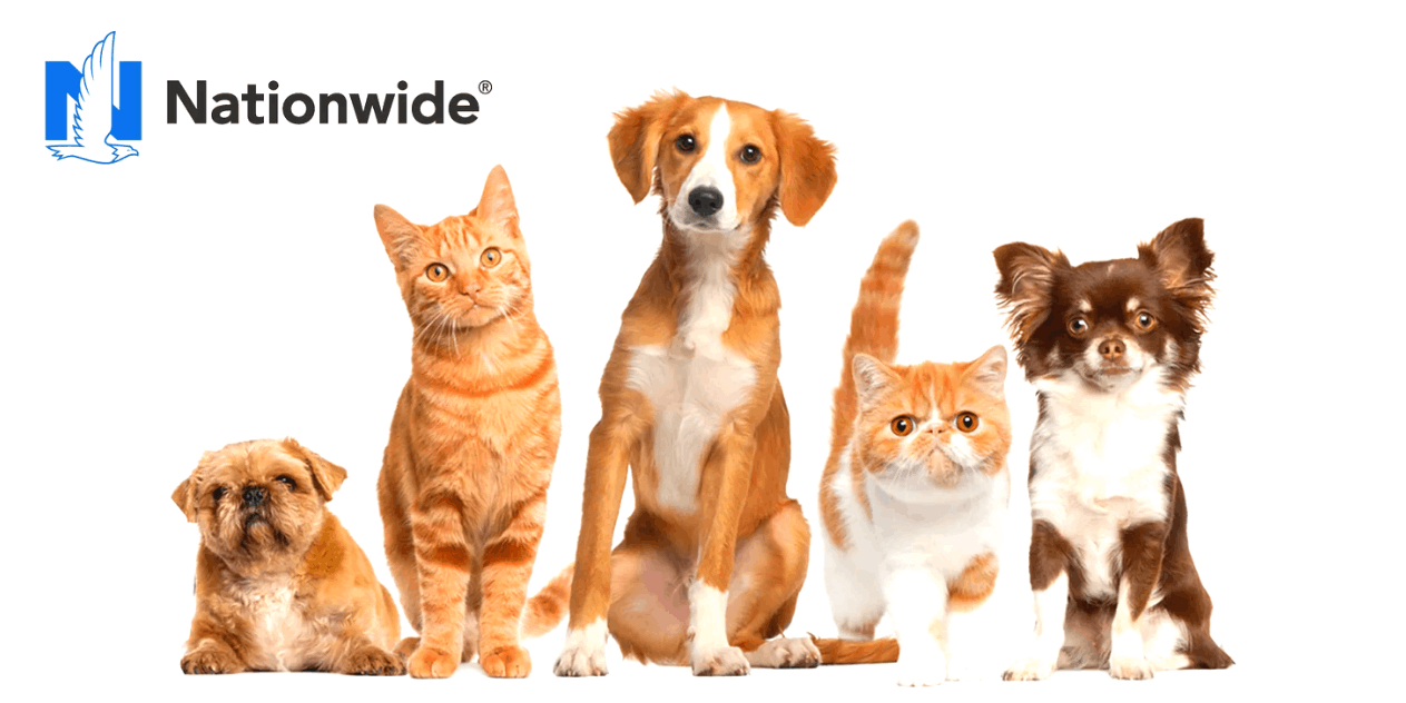 nationwide pet insurance