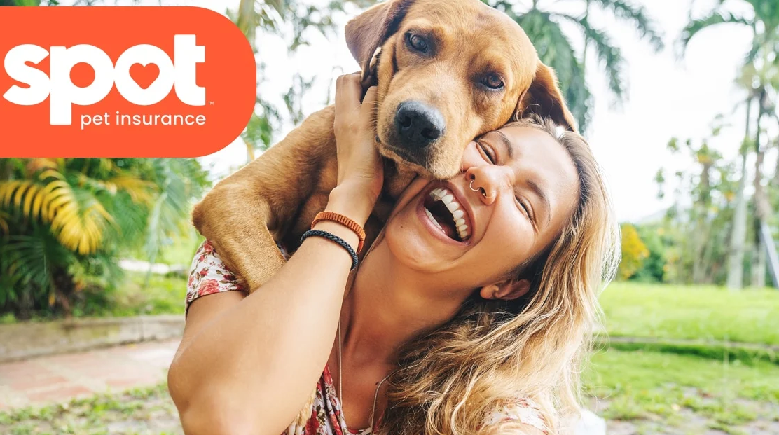 Spot Pet Insurance