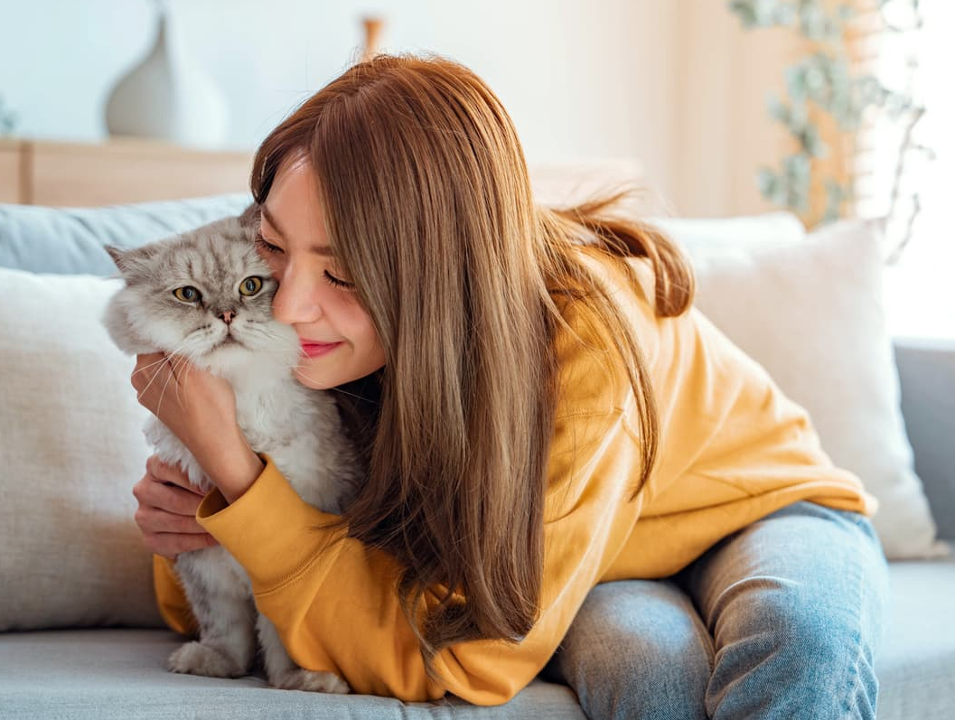 Spot Pet Insurance