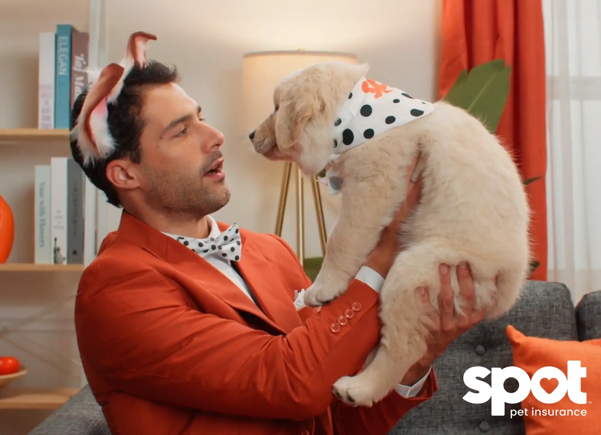 Spot Pet Insurance