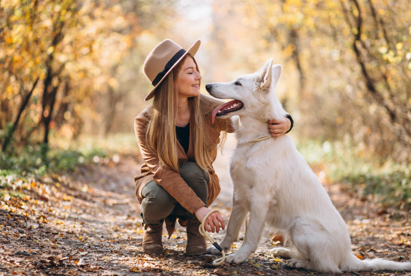 Woolworths Pet Insurance