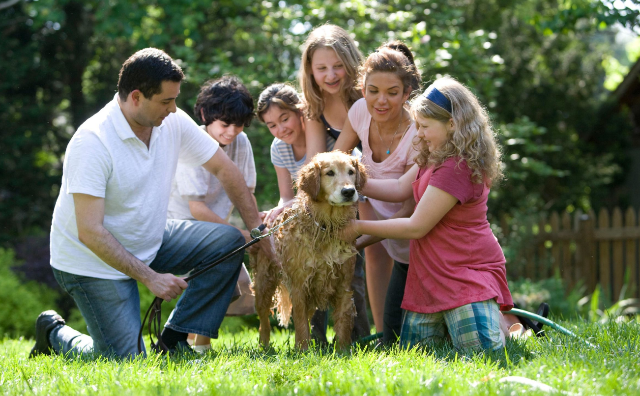 nationwide pet insurance
