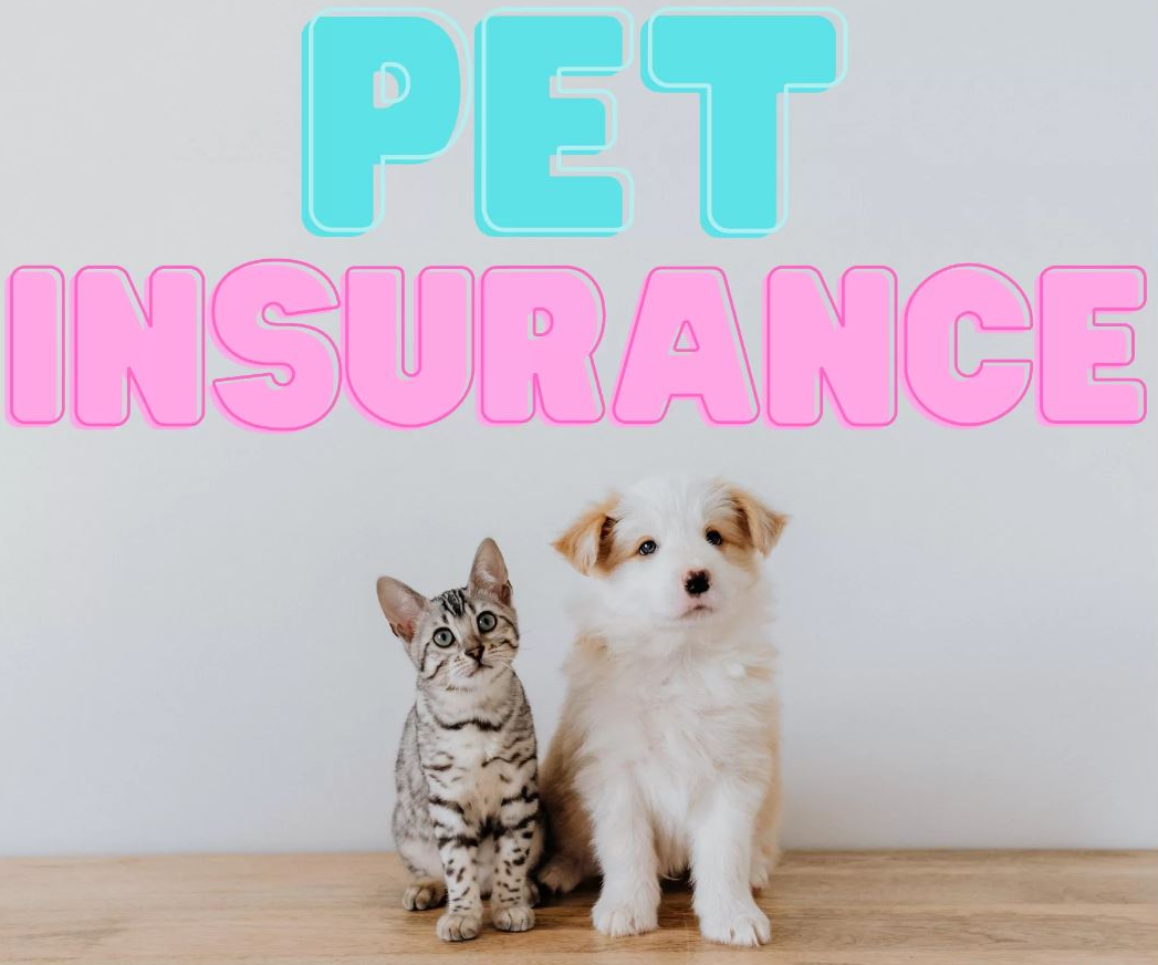 Embrace Pet Insurance