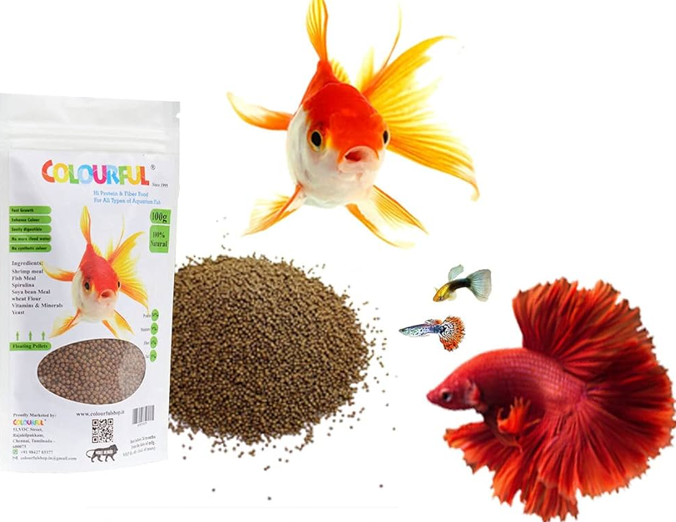 Fish Food
