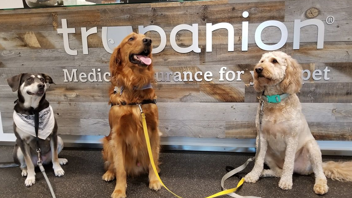 Trupanion Pet Insurance