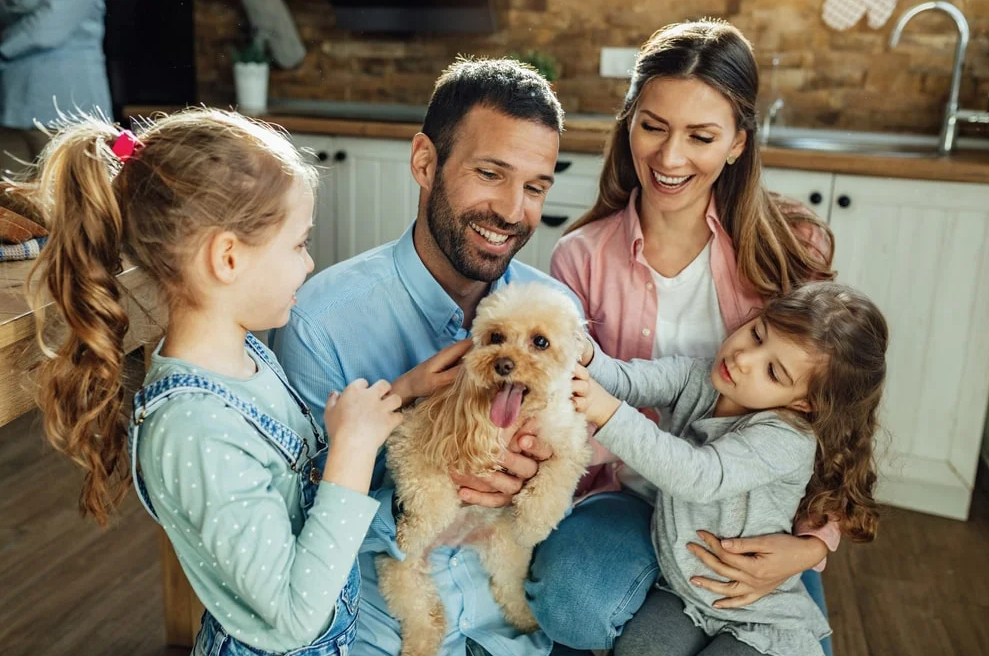 MetLife Pet Insurance