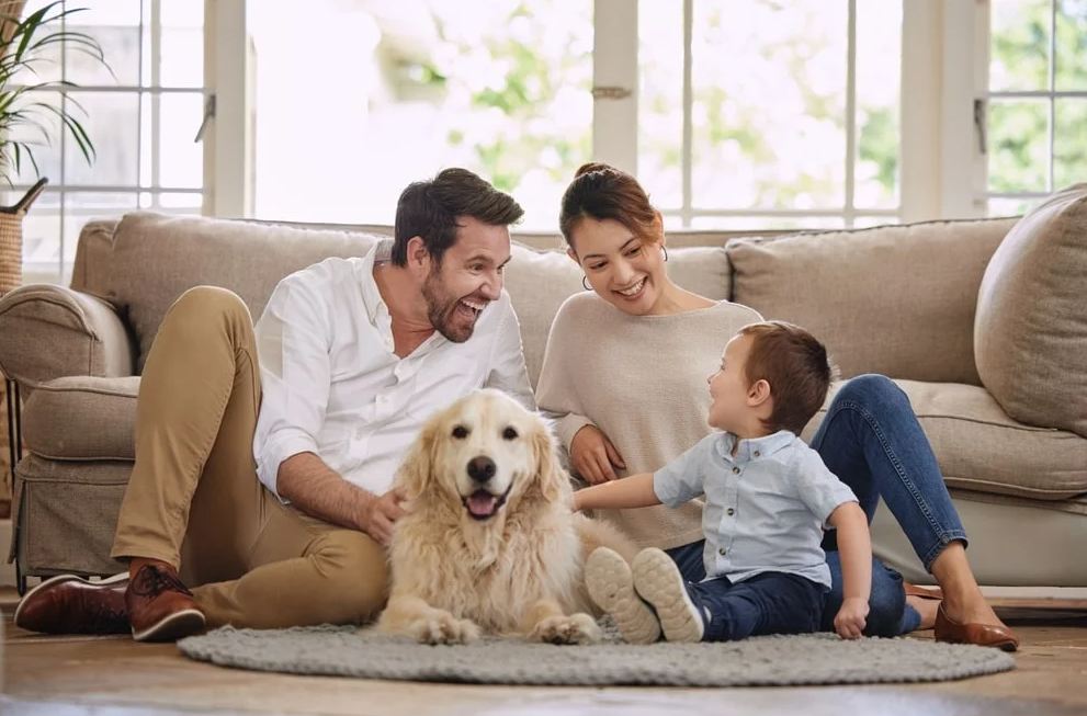 MetLife Pet Insurance