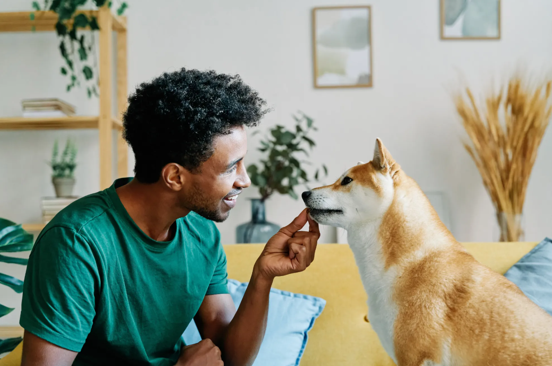 MetLife Pet Insurance