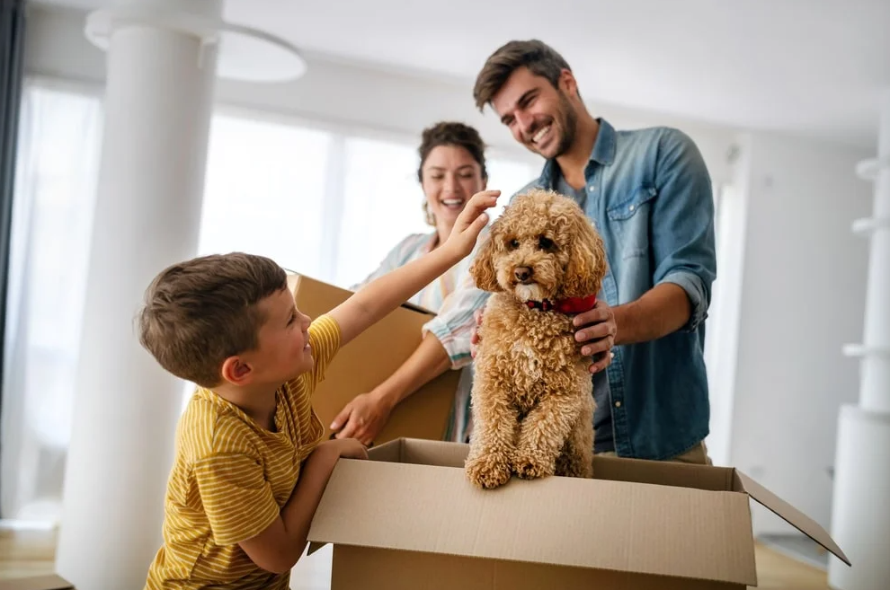MetLife Pet Insurance