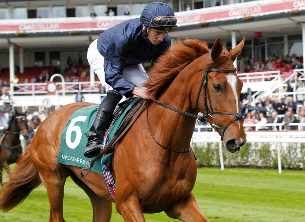 Virtual Horse Racing Results