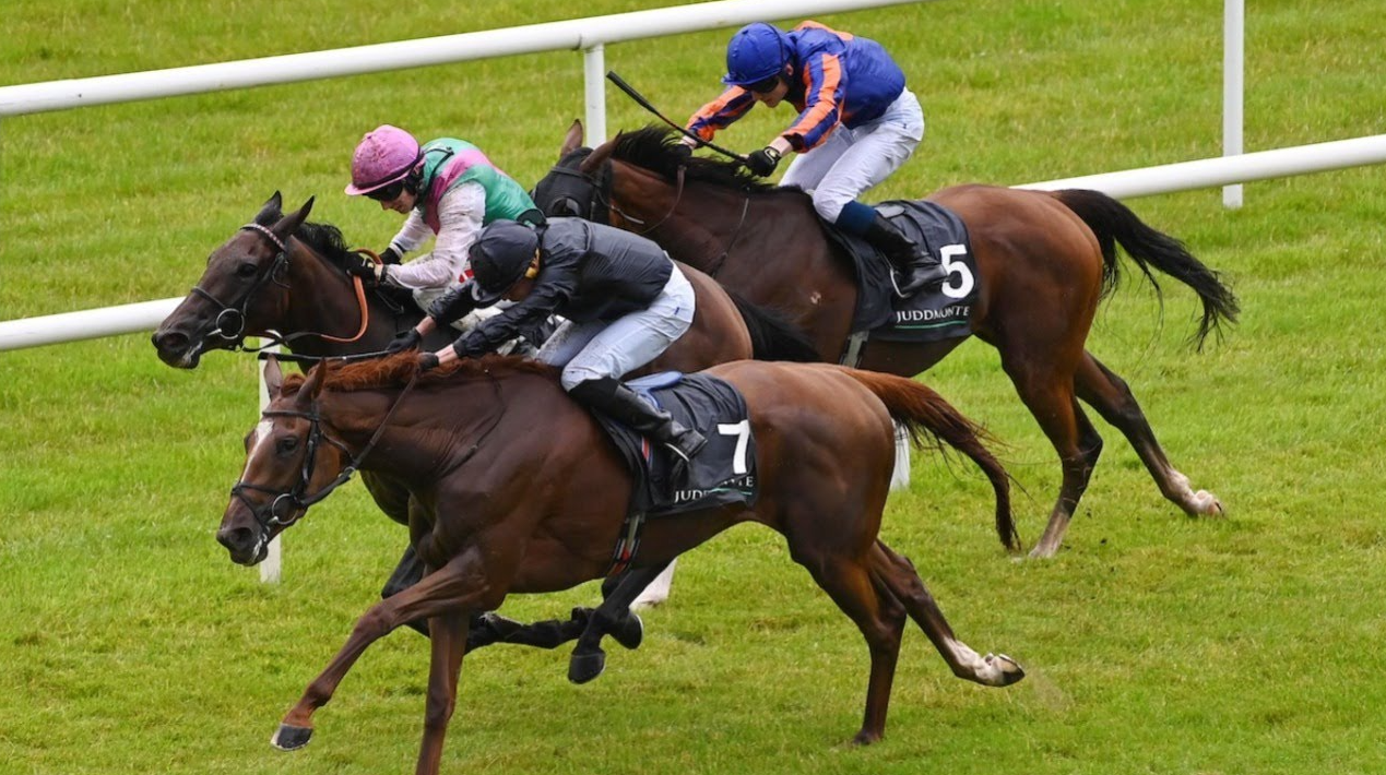 Virtual Horse Racing Results