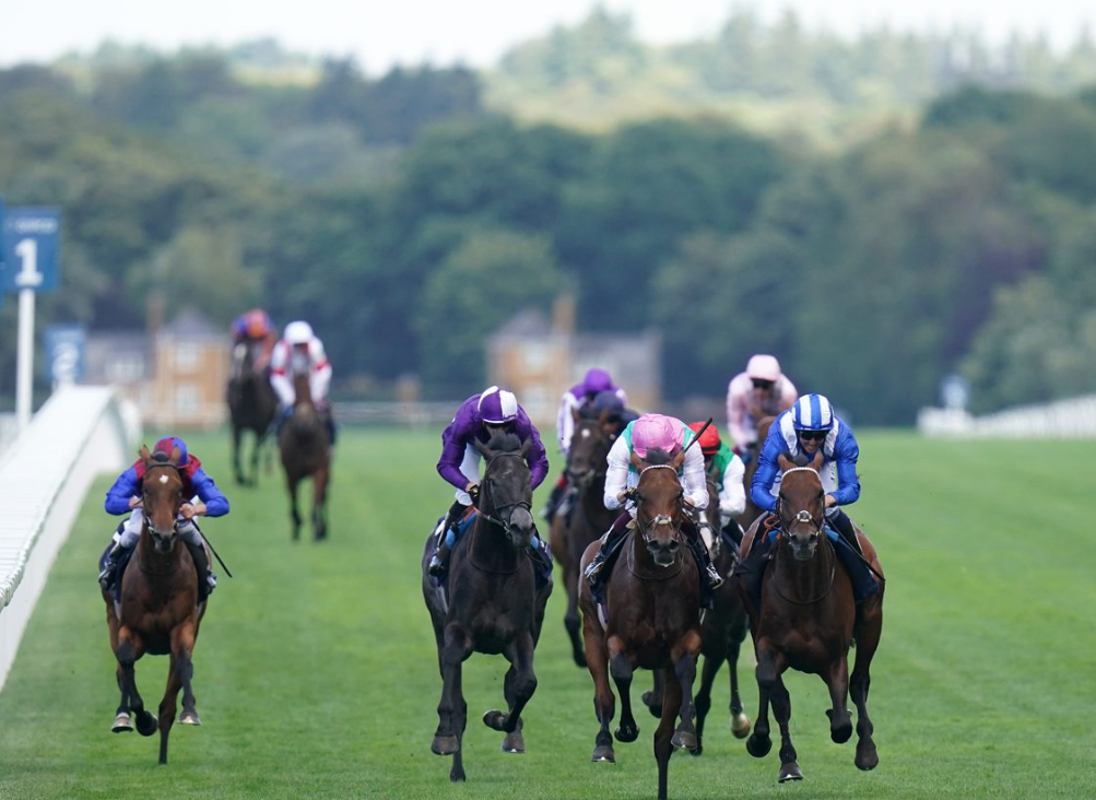 Virtual Horse Racing Results