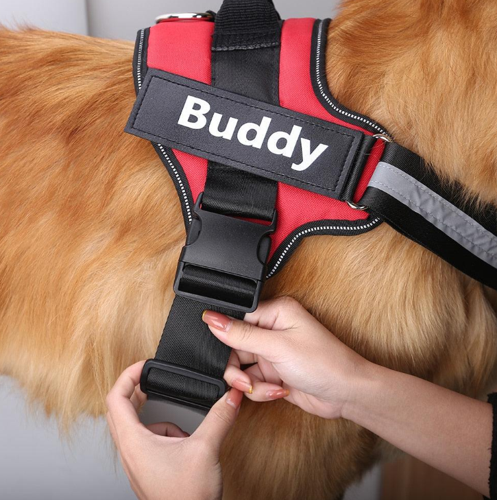 Dog Harness 