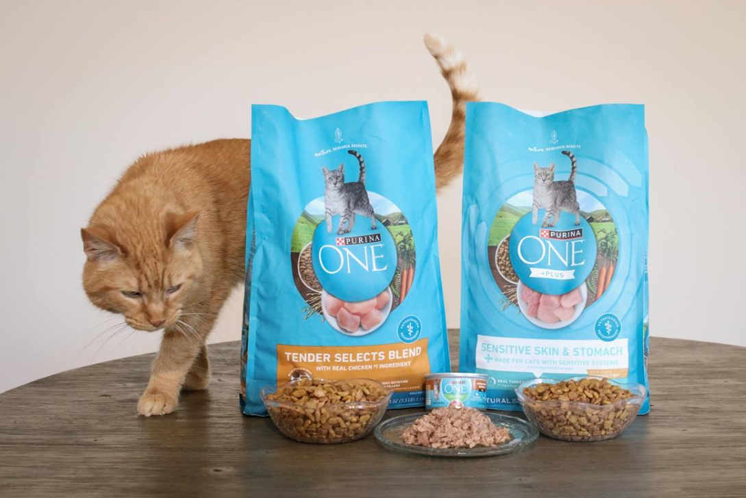 Purina One Cat Food