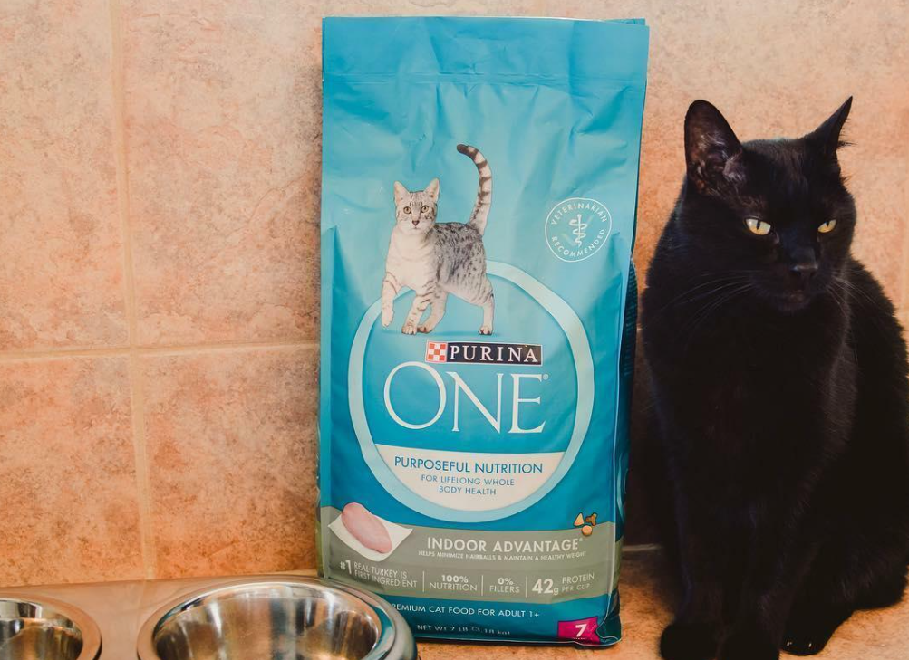 Purina One Cat Food