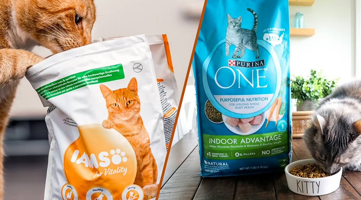 Purina One Cat Food