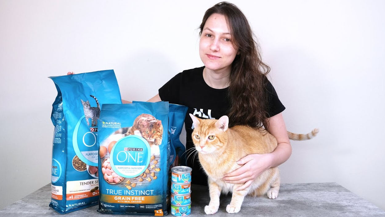 Purina One Cat Food